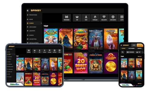 Installation and Setup of the Spinsy Casino App